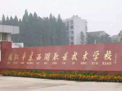 2011年武汉市东西湖职业技术学校录取分数线