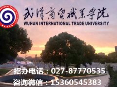  2019年武汉商贸职业学院分数线