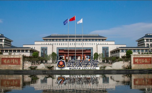 武汉学院
