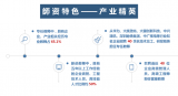 深圳技术大学师资队伍有何特色？