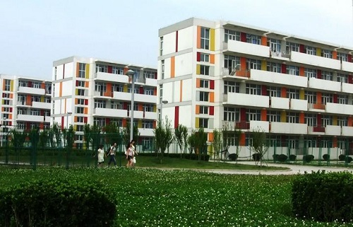 t01a6cb3e45529f04c1.jpg