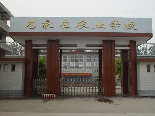 t01f445ec50d279d489.jpg