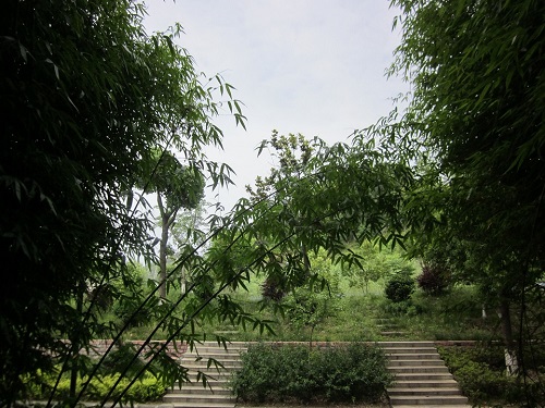20180525070229880.jpg