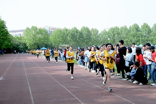 仙桃市理工.jpg