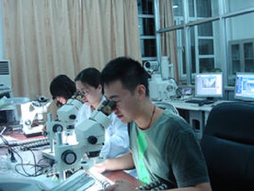 金属材料工程.jpg