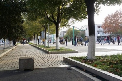 宜昌市体育运动学校.jpg