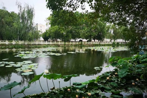 武汉市蔡甸区铁铺职业高级中学.jpg