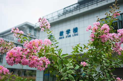 20150428115051_60776.jpg