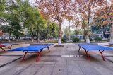 武汉市第二职业教育中心学校乒乓球场