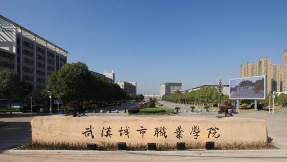 <b>武汉城市职业学院</b>