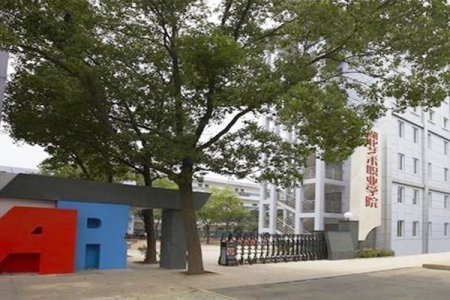 湖北艺术职业学院2025年高职单招招生章程