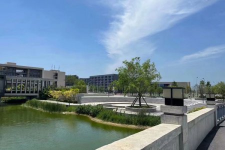 长江艺术工程职业学院2025年高职单招招生章程