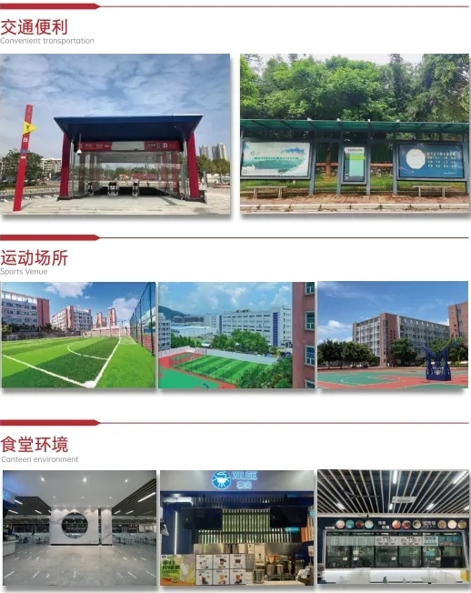 搜狗截图20250526145651.jpg